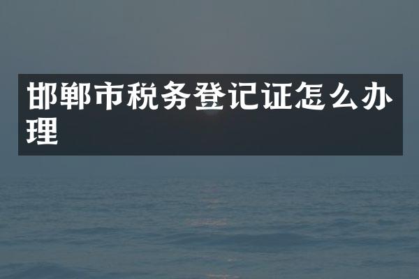 邯郸市税务登记证怎么办理
