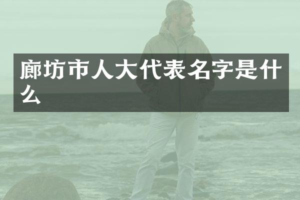 廊坊市人大代表名字是什么