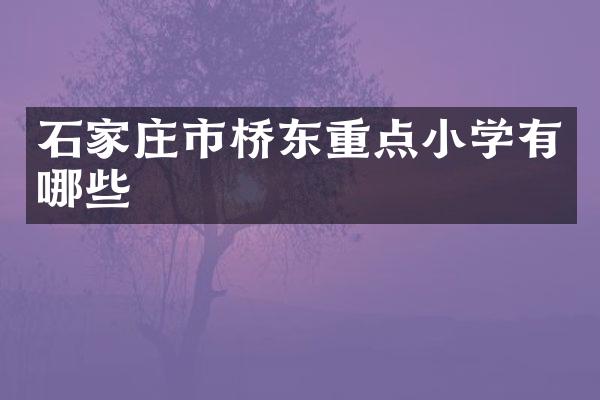 石家庄市桥东重点小学有哪些
