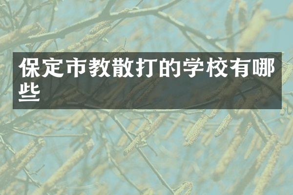 保定市教散打的学校有哪些
