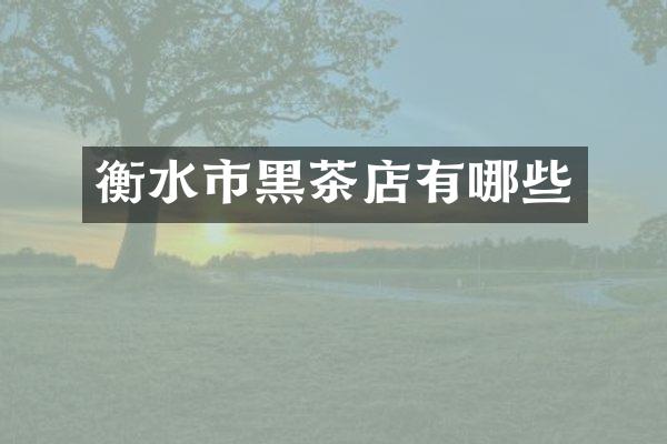 衡水市黑茶店有哪些