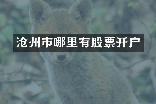 沧州市哪里有股票开户