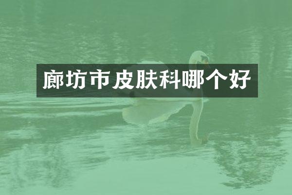 廊坊市皮肤科哪个好