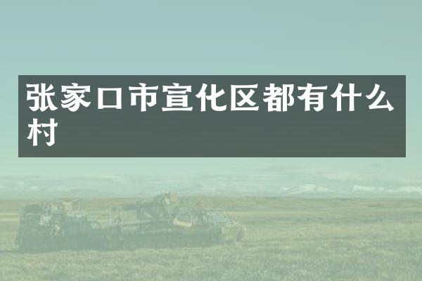 张家口市宣化区都有什么村