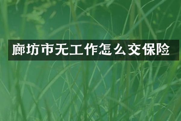廊坊市无工作怎么交保险