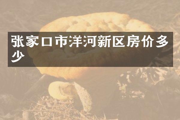 张家口市洋河新区房价多少