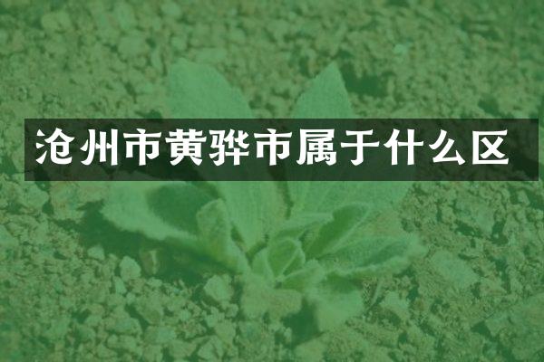 沧州市黄骅市属于什么区