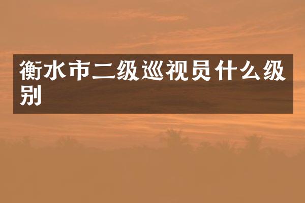 衡水市二级巡视员什么级别