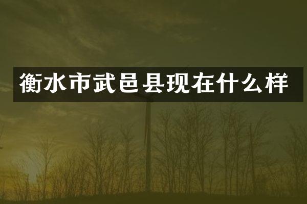 衡水市武邑县现在什么样