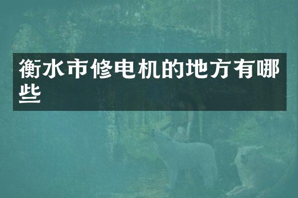 衡水市修电机的地方有哪些