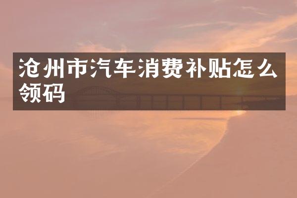 沧州市汽车消费补贴怎么领码