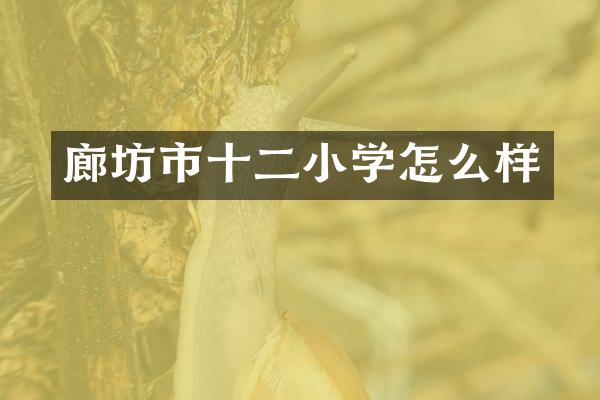 廊坊市十二小学怎么样