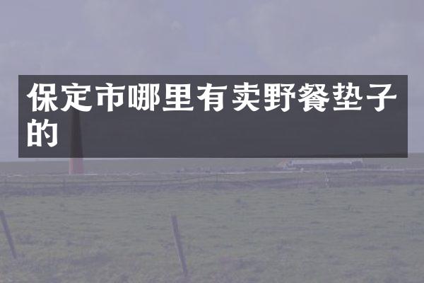 保定市哪里有卖野餐垫子的