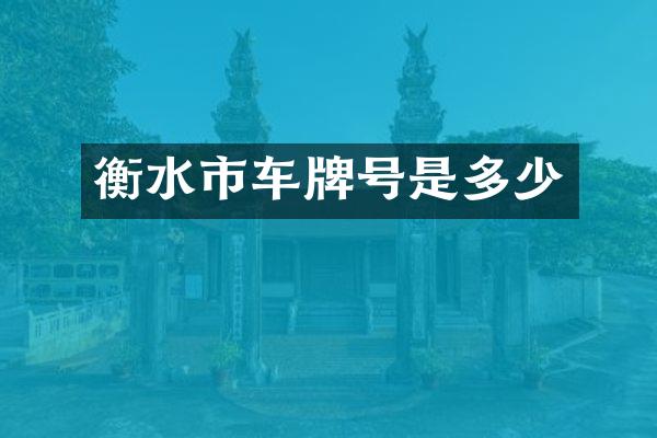 衡水市车牌号是多少