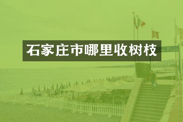 石家庄市哪里收树枝