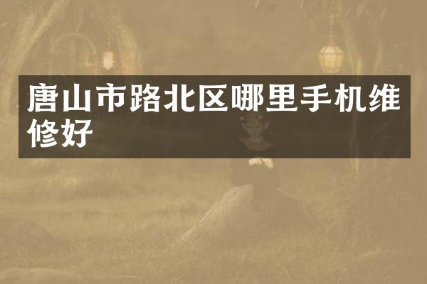 唐山市路北区哪里手机维修好