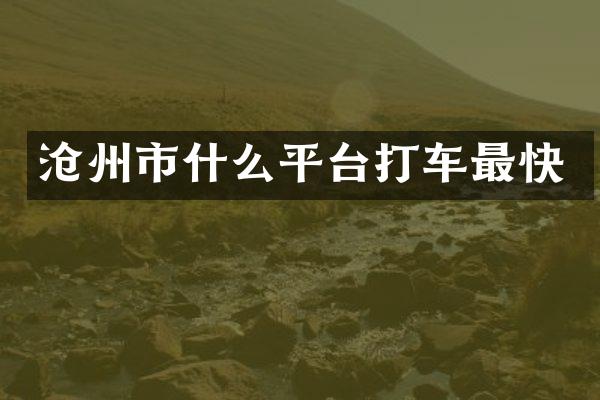 沧州市什么平台打车最快