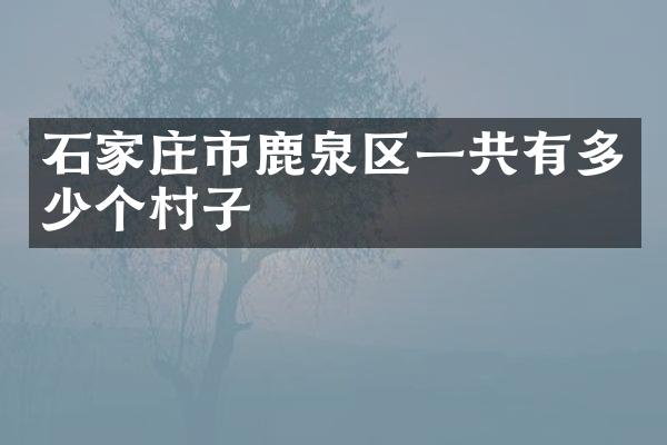 石家庄市鹿泉区一共有多少个村子