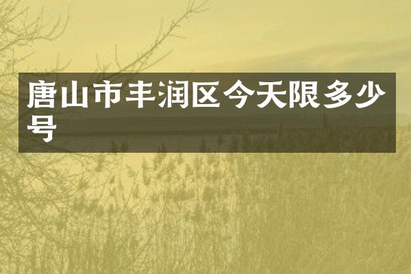 唐山市丰润区今天限多少号
