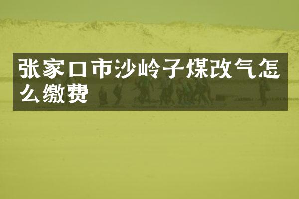 张家口市沙岭子煤改气怎么缴费