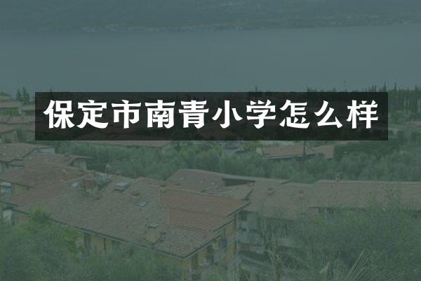 保定市南青小学怎么样