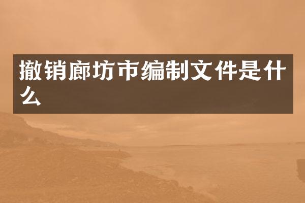 撤销廊坊市编制文件是什么