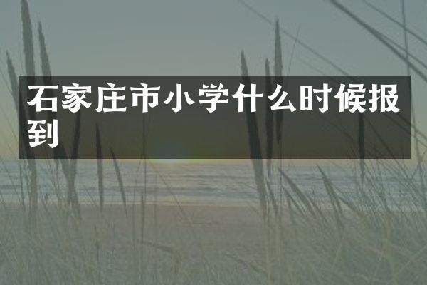石家庄市小学什么时候报到