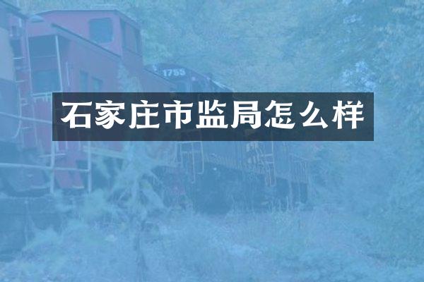 石家庄市监局怎么样