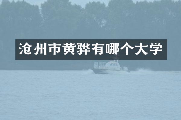 沧州市黄骅有哪个大学