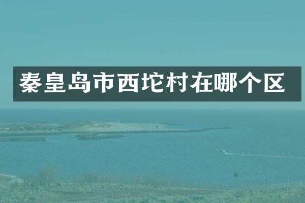 秦皇岛市西坨村在哪个区