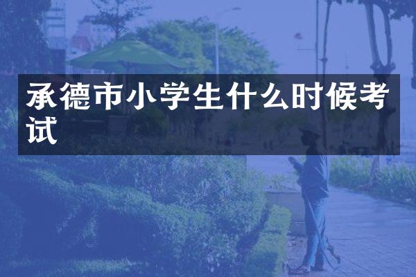 承德市小学生什么时候考试