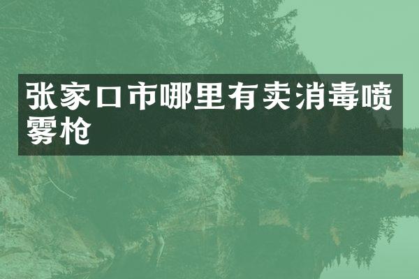张家口市哪里有卖消毒喷雾枪
