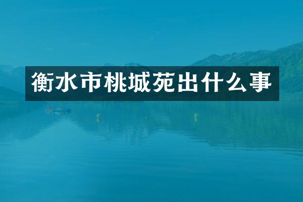 衡水市桃城苑出什么事