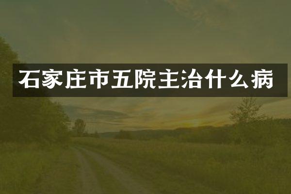 石家庄市五院主治什么病