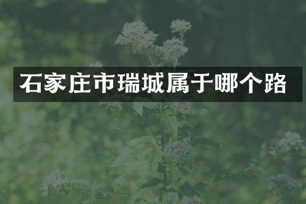 石家庄市瑞城属于哪个路
