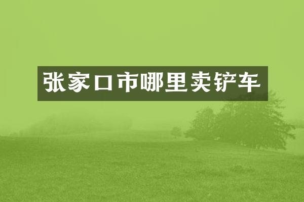 张家口市哪里卖铲车