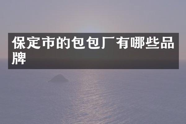 保定市的包包厂有哪些品牌