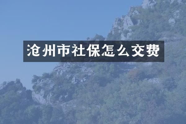 沧州市社保怎么交费