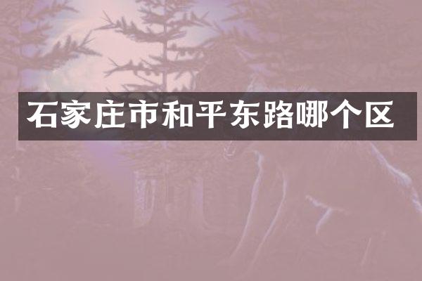 石家庄市和平东路哪个区