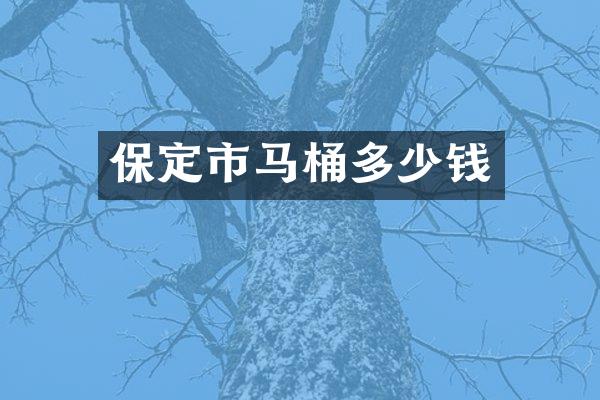 保定市马桶多少钱