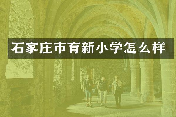 石家庄市育新小学怎么样