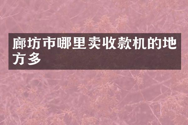 廊坊市哪里卖收款机的地方多