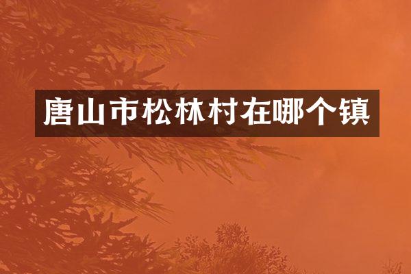 唐山市松林村在哪个镇