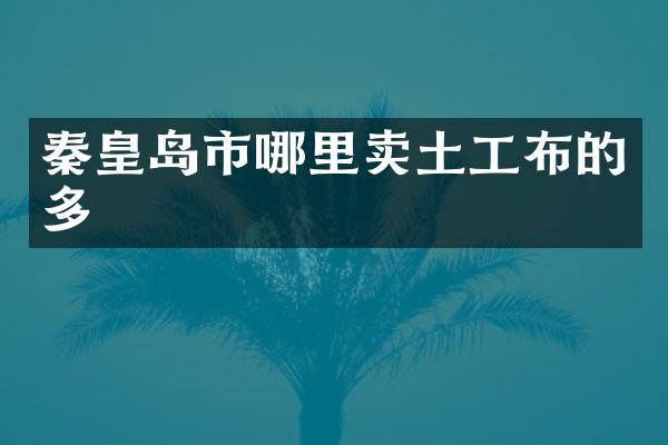 秦皇岛市哪里卖土工布的多