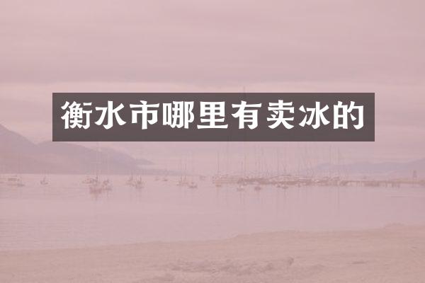 衡水市哪里有卖冰的
