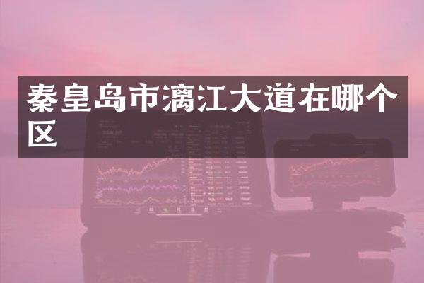 秦皇岛市漓江大道在哪个区