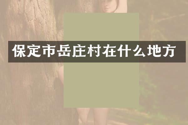 保定市岳庄村在什么地方