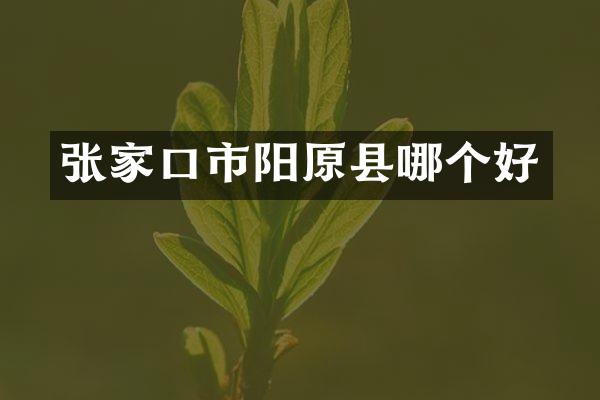张家口市阳原县哪个好