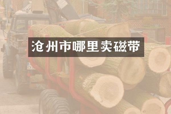 沧州市哪里卖磁带