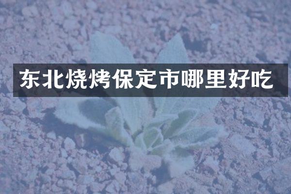 东北烧烤保定市哪里好吃